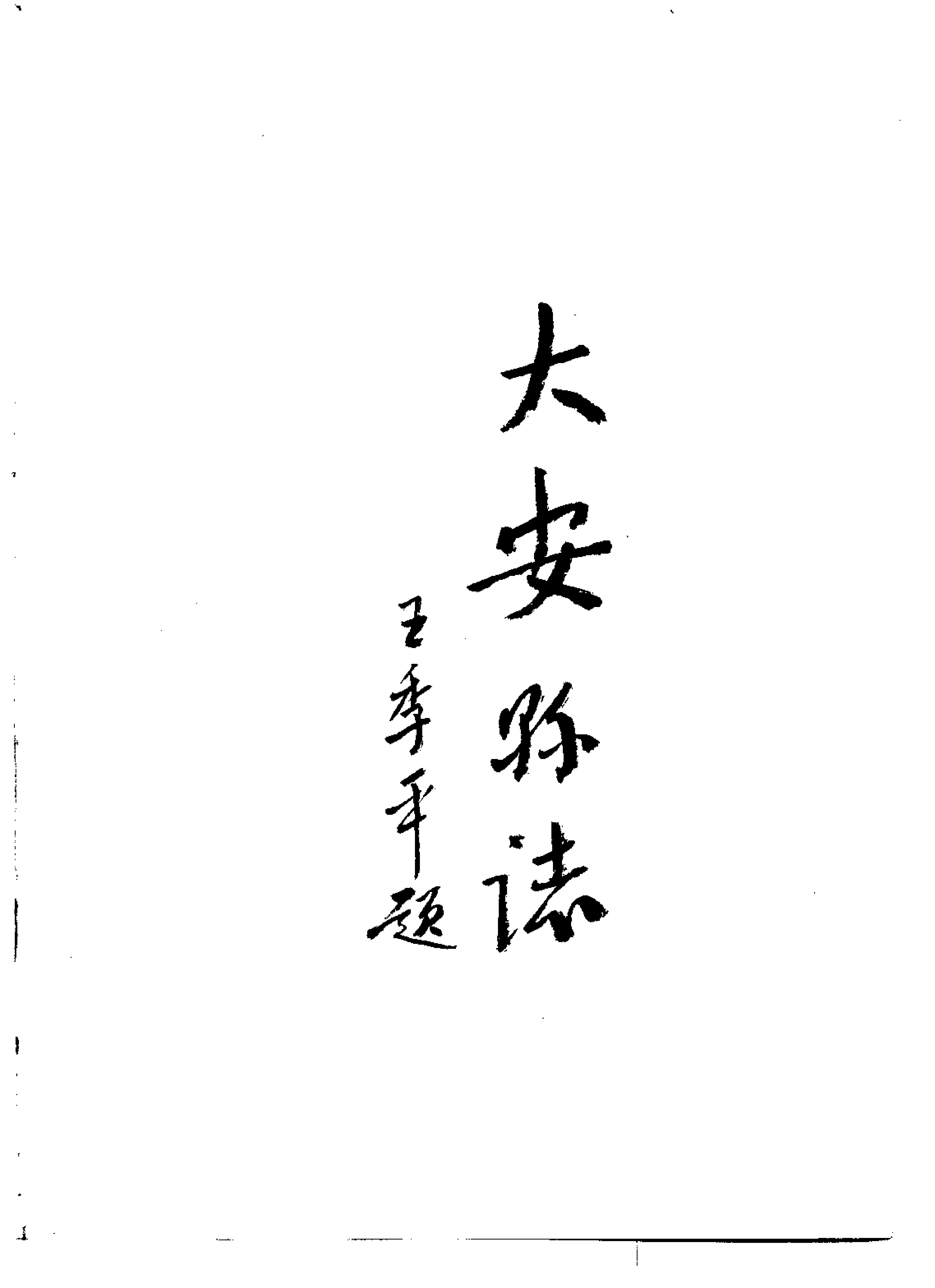 大安县志 封面 4